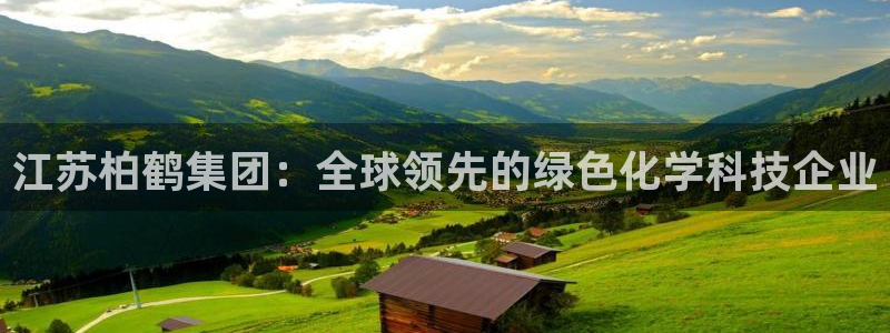 球盟会电子好黑