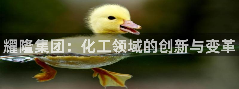 球盟会网址：耀隆集团：化工领域的创新与变革