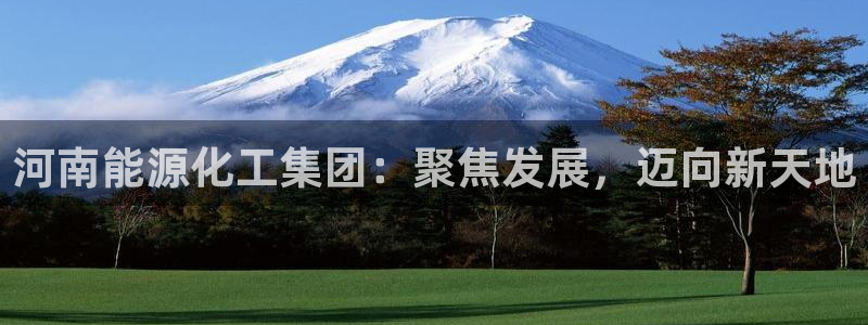 球盟会里面有打牌的嘛