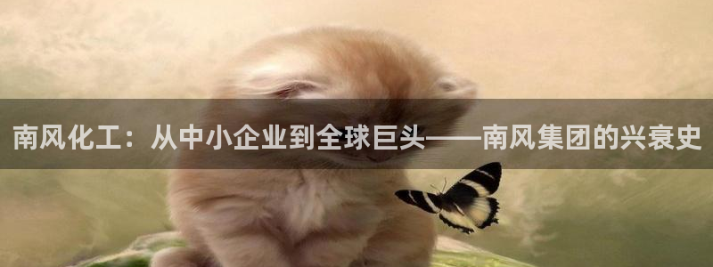 球盟会能提现吗