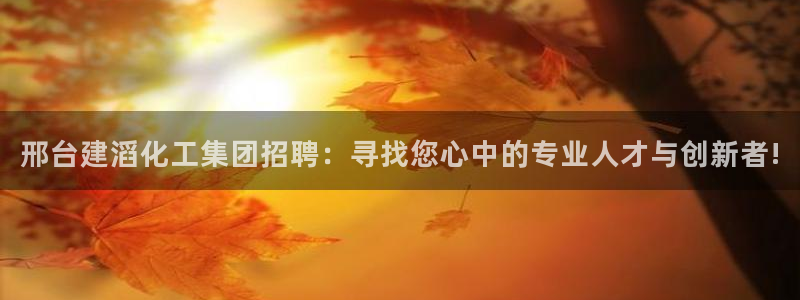 球盟会电子：邢台建滔化工集团招聘：寻找您心中的专业人才与创新