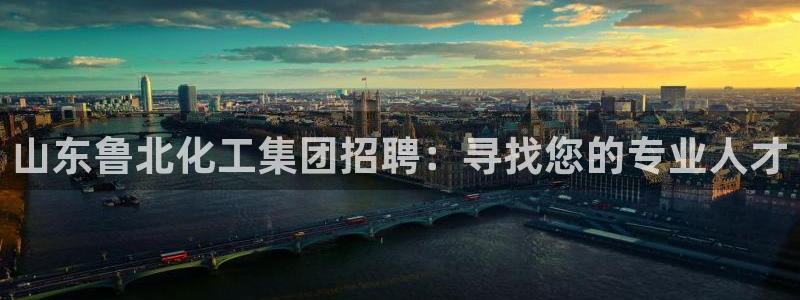 球盟会登陆中心
