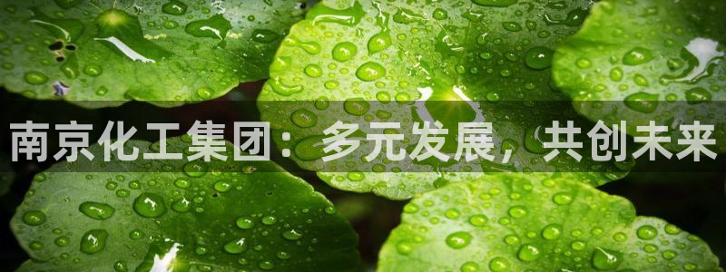 球盟会和中欧合作吗：南京化工集团：多元发
