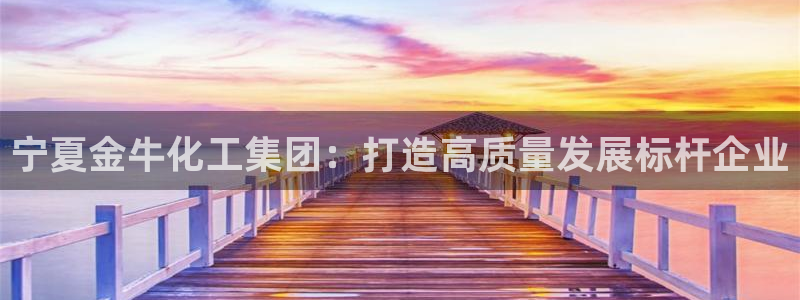 球盟会中国官方网站：宁夏金牛化工集团：打