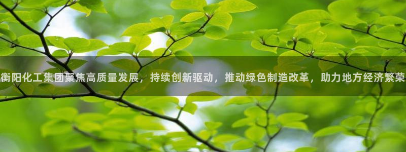 球盟会优惠码