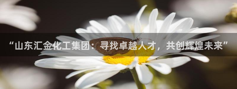 球盟会有没有黑单的活动
