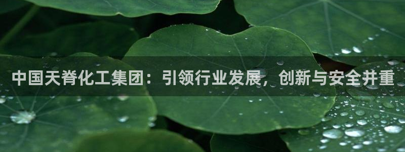 球盟会app入口：中国天脊化工集团：引领行业发展，创新与安全