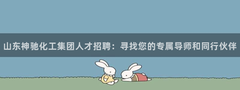 球盟会有没有黑单的活动：山东神驰化工集团人才招聘：寻找您的专