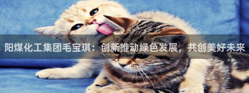 球盟会贴吧：阳煤化工集团毛宝琪：创新推动绿色发展，共创美好未