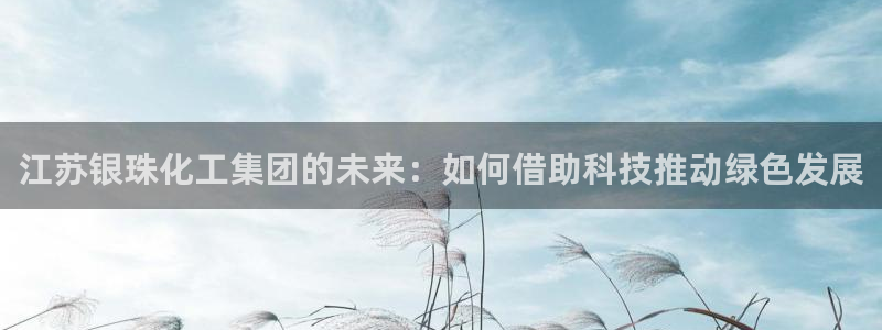 球盟会qmh - 球盟会官方网站：江苏银珠化工集团的未来：如