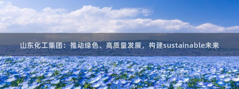 球盟会乐虎：山东化工集团：推动绿色、高质量发展，构建sust
