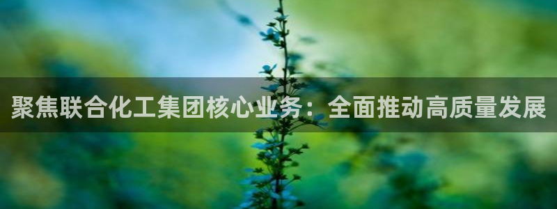 球盟会最新活动：聚焦联合化工集团核心业务：全面推动高质量发展