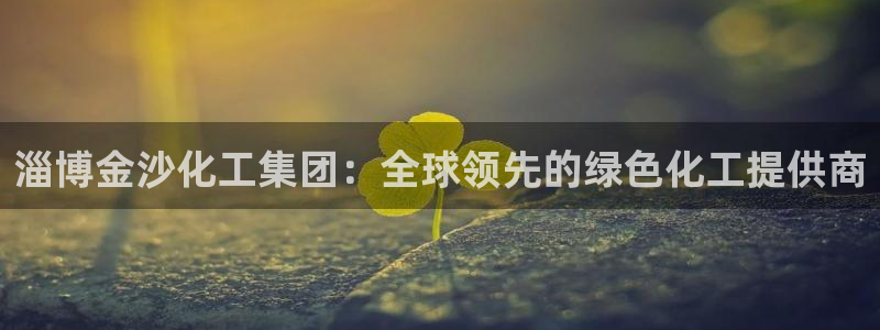 球盟会国际官网：淄博金沙化工集团：全球领先的绿色化工提供商