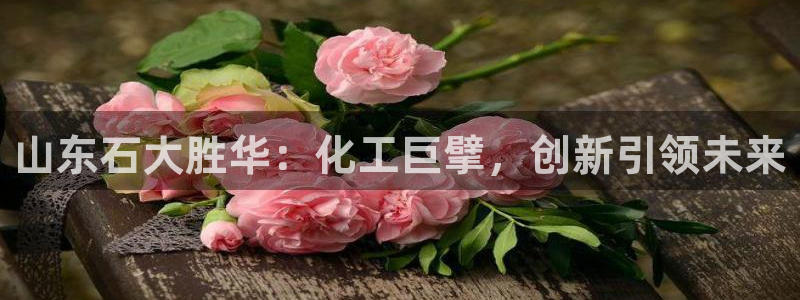 球盟会进不去吗：山东石大胜华：化工巨擘，创新引领未来