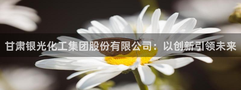 球盟会能退钱吗：甘肃银光化工集团股份有限公司：以创新引领未来