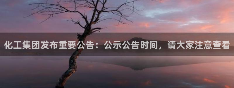 球盟会下载最新版：化工集团发布重要公告：公示公告时间，请大家