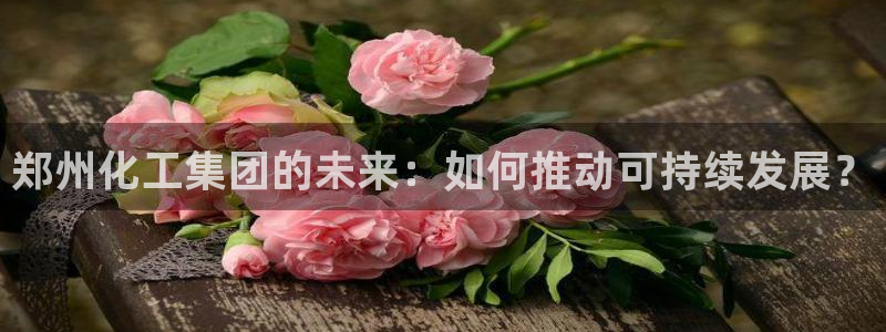 球盟会官网入口：郑州化工集团的未来：如何