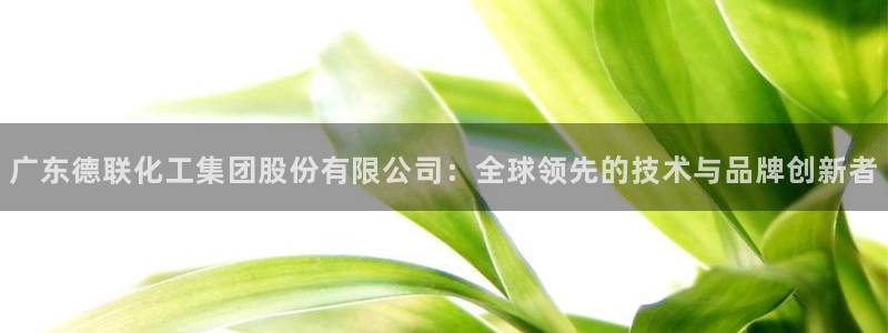 千亿球盟会：广东德联化工集团股份有限公司：全球领先的技术与品