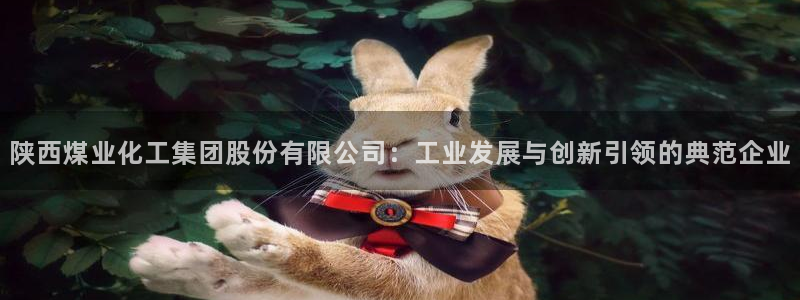 球盟会黑款吗：陕西煤业化工集团股份有限公司：工业发展与创新引