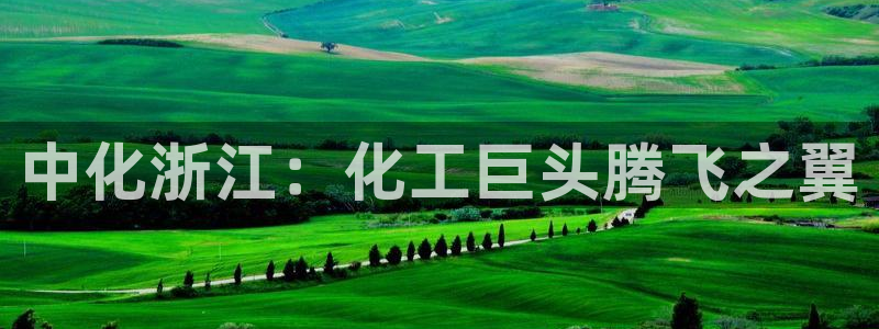 球盟会和中欧合作吗：中化浙江：化工巨头腾飞之翼