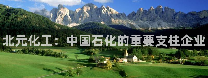 球盟会头号玩家：北元化工：中国石化的重要支柱企业