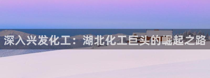 球盟会用的客服聊天是哪个软件