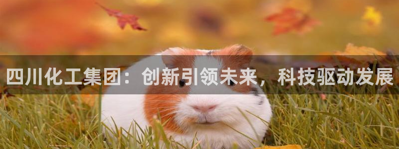 球盟会：四川化工集团：创新引领未来，科技驱动发展