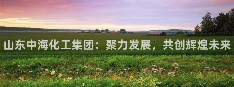 球盟会中国官方网站：山东中海化工集团：聚力发展，共创辉煌未来