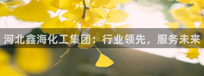 球盟会电子游戏平台：河北鑫海化工集团：行业领先，服务未来