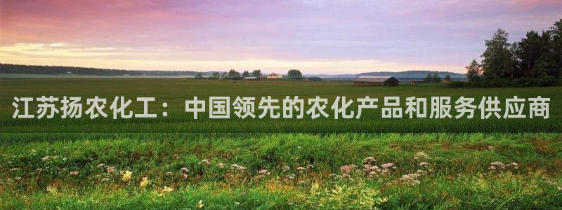 球盟会网页登录app下载地址：江苏扬农化工：中国领先的农化产