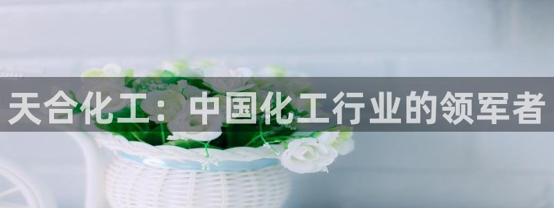 球盟会官方最新入口