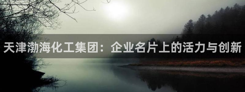 球盟会：天津渤海化工集团：企业名片上的活力与创新