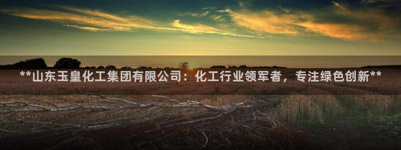 千亿球盟会：**山东玉皇化工集团有限公司：化工行业领军者，专