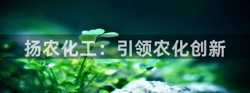 球盟会官方登录平台：扬农化工：引领农化创新