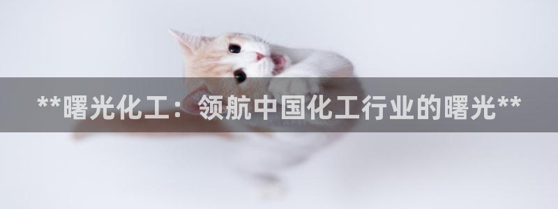 球盟会网页登录入口