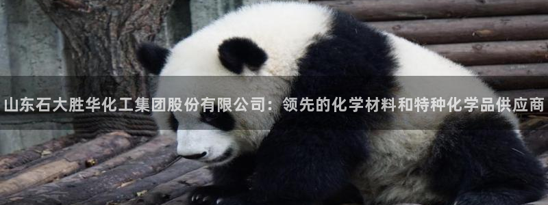 球盟会优惠领取网站：山东石大胜华化工集团股份有限公司：领先的