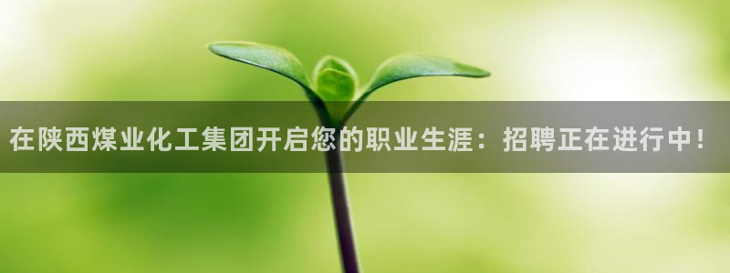 球盟会官方网站入口：在陕西煤业化工集团开启您的职业生涯：招聘