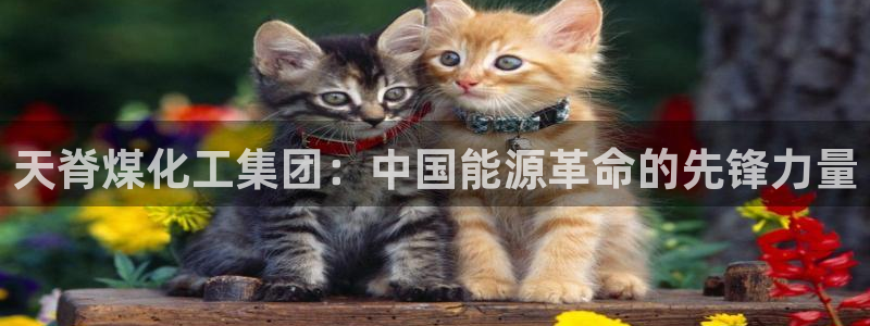 球盟会封禁：天脊煤化工集团：中国能源革命的先锋力量