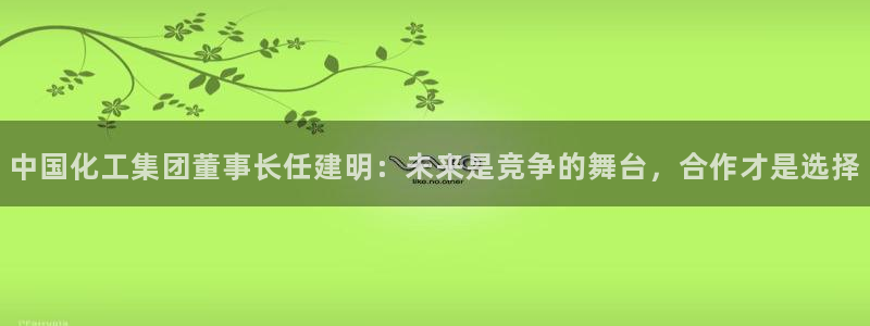 球盟会黑台：中国化工集团董事长任建明：未来是竞争的舞台，合作
