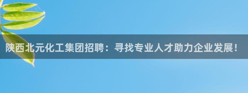 球盟会官方登录平台：陕西北元化工集团招聘：寻找专业人才助力企
