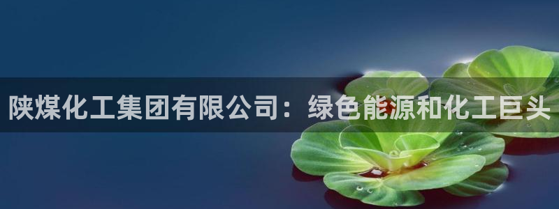 球盟会网页版：陕煤化工集团有限公司：绿色能源和化工巨头