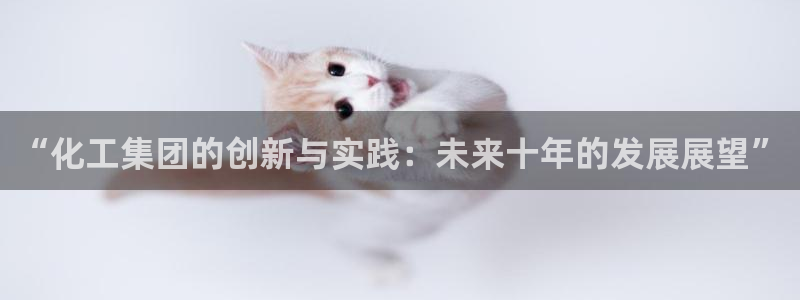 球盟会网址qm9 - 球盟会qmh网页版登录