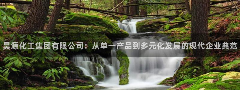 球盟会在线登录