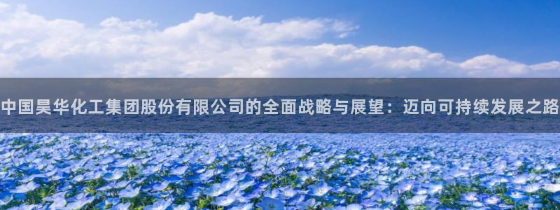 球盟会下载最新版