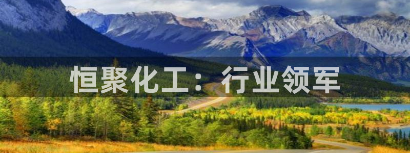 球盟会在线网站：恒聚化工：行业领军