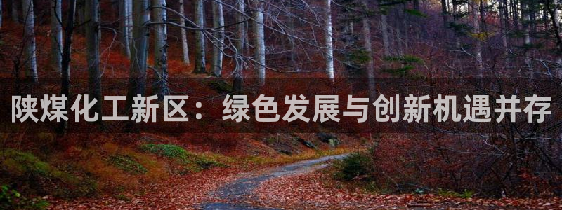 球盟会app入口：陕煤化工新区：绿色发展与创新机遇并存