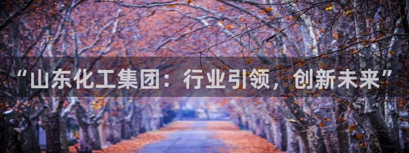 球盟会在线登录：“山东化工集团：行业引领，创新未来”