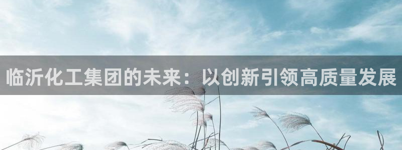 球盟会APP最新地址：临沂化工集团的未来：以创新引领高质量发