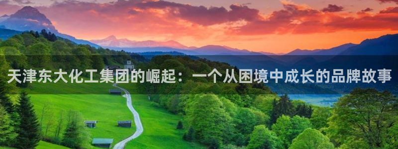 球盟会能退钱吗：天津东大化工集团的崛起：