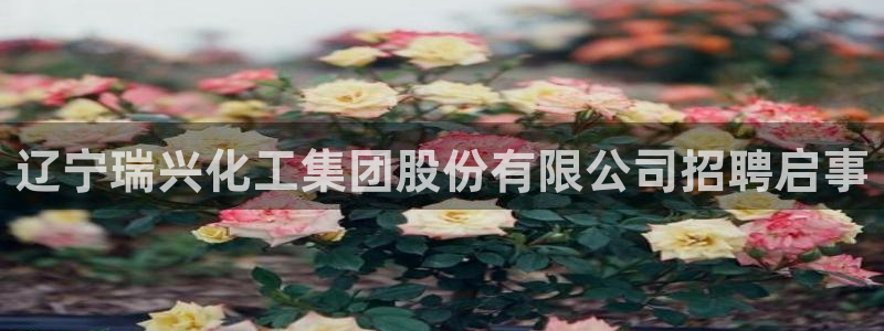 球盟会头号玩家：辽宁瑞兴化工集团股份有限公司招聘启事